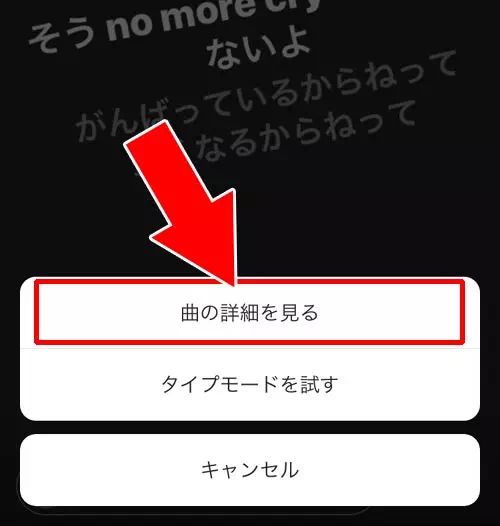 ストーリーに追加された音楽の詳細が見れる|インスタストーリーで音楽を流す方法!歌詞表示や長さ調整もできます