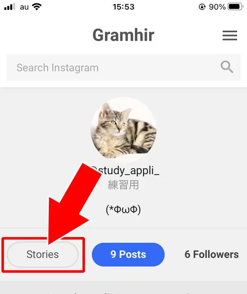 サイト『Gramhir』でストーリーを保存する｜インスタストーリーの保存方法！他人のストーリーをサイトから保存できます