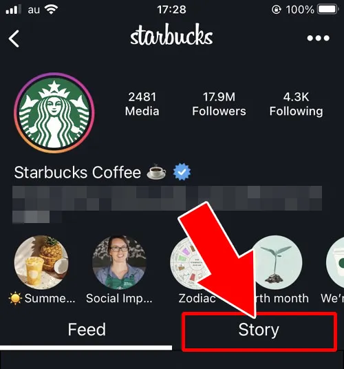 【iphone】iStory for Instagramでストーリーを見る｜インスタストーリーに足跡つけないで見る方法！サイトや機内モードがおすすめです