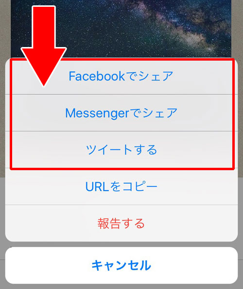 他人が投稿した写真をSNSでシェアする方法|インスタグラムのシェア方法と設定をまとめて解説