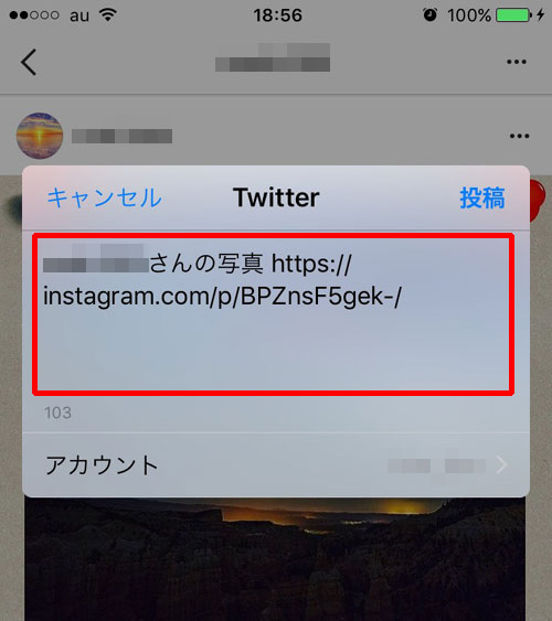 他人が投稿した写真をSNSでシェアする方法|インスタグラムのシェア方法と設定をまとめて解説