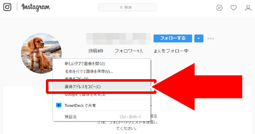 PC(パソコン)を使って大きいサイズのプロフィール画像にアクセスする