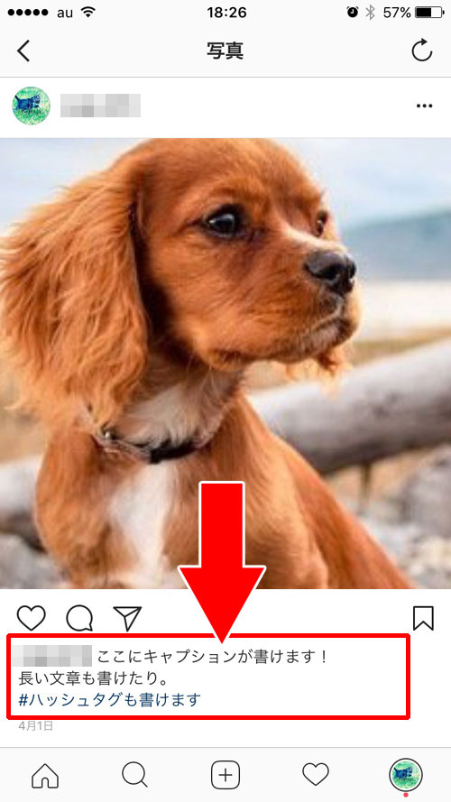 インスタのキャプションとは?