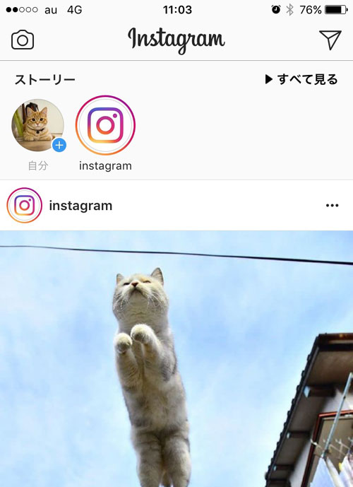 タイムラインから見る｜インスタの投稿を見る基本的な方法のまとめ