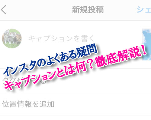 instagramのキャプションとは何?使い方や仕組みまとめ