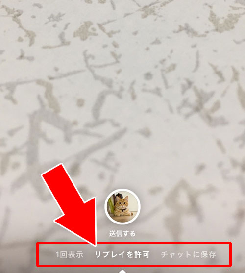 DM内のメッセージ画面から写真や動画を送る②|インスタのDM(ダイレクト)で写真や動画を送る7つの方法