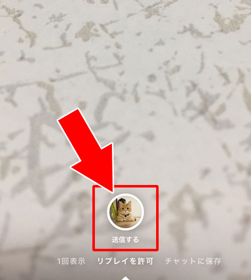 DM内のメッセージ画面から写真や動画を送る②|インスタのDM(ダイレクト)で写真や動画を送る7つの方法