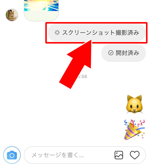 DM画面をスクショすると相手に通知される?|インスタのDM(ダイレクトメッセージ)の使い方や仕組みまとめ