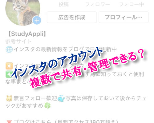 インスタのアカウントを複数で共有・管理する事はできる?