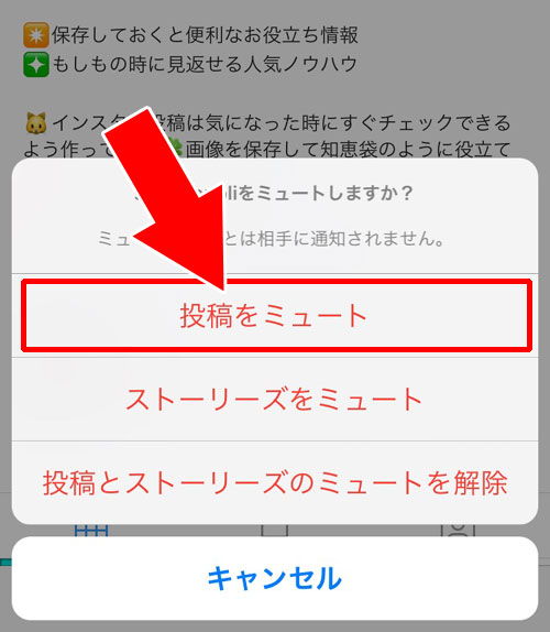 プロフィール画面からミュート設定する方法|インスタでミュート機能の設定・解除方法やよくある疑問まとめ