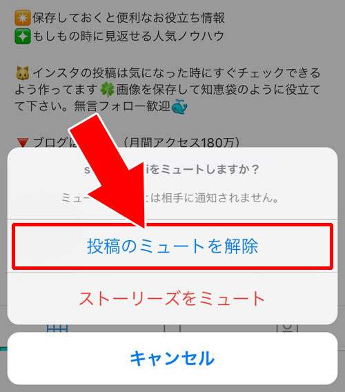 ミュート設定した相手をミュート解除する方法|インスタでミュート機能の設定・解除方法やよくある疑問まとめ