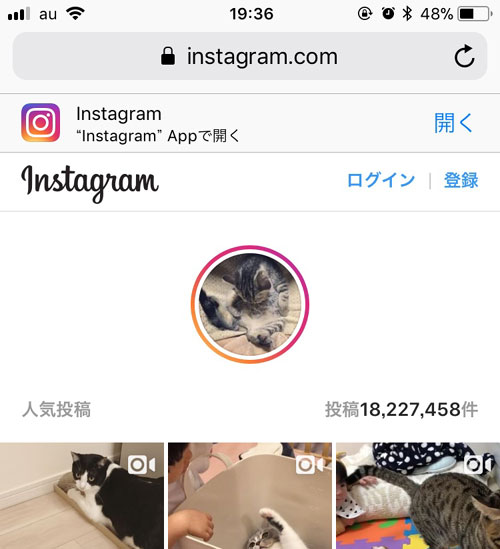 スマホで検索ボックスが表示されない?ユーザー検索ができない?|インスタグラムを見るだけの方法!登録もログインも不要で検索もできます