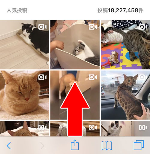 スマホで検索ボックスが表示されない?ユーザー検索ができない?|インスタグラムを見るだけの方法!登録もログインも不要で検索もできます