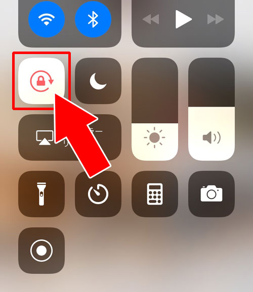 スマホで検索ボックスが表示されない?ユーザー検索ができない?|インスタグラムを見るだけの方法!登録もログインも不要で検索もできます