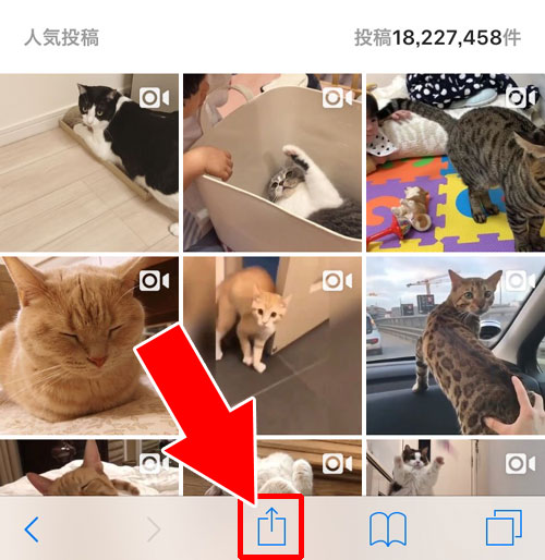 スマホで検索ボックスが表示されない?ユーザー検索ができない?|インスタグラムを見るだけの方法!登録もログインも不要で検索もできます