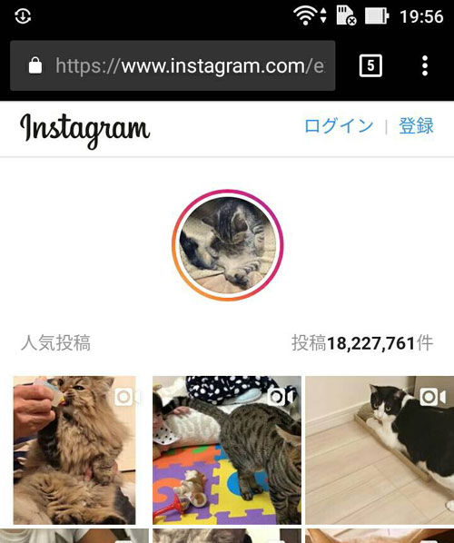 スマホで検索ボックスが表示されない?ユーザー検索ができない?|インスタグラムを見るだけの方法!登録もログインも不要で検索もできます