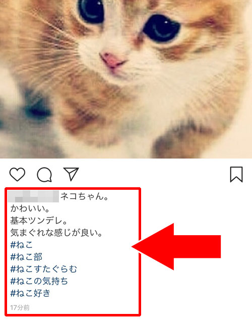iphone版インスタアプリでキャプションを見た時|インスタのキャプションで使える複数改行方法(文章やタグの改行)