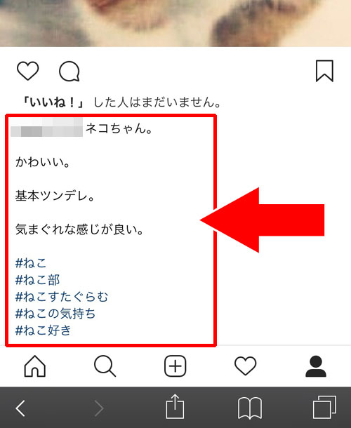 web版のインスタでキャプションを見た時|インスタのキャプションで使える複数改行方法(文章やタグの改行)