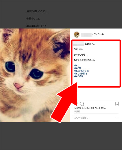 PC版のインスタでキャプションを見た時|インスタのキャプションで使える複数改行方法(文章やタグの改行)