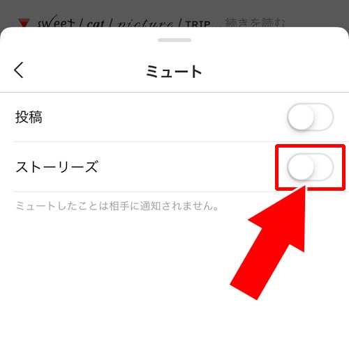 ストーリー ミュート インスタ