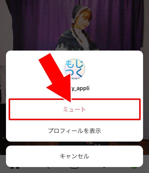 特定の相手のストーリーをミュートにする|インスタストーリーの使い方!投稿・閲覧・足跡・保存など仕組みや疑問をまとめました