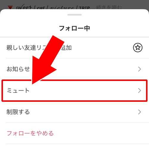プロフィール画面からストーリーをミュートする方法、解除する方法|インスタストーリーでミュートの仕方!ミュート解除方法や通知などについても解説します