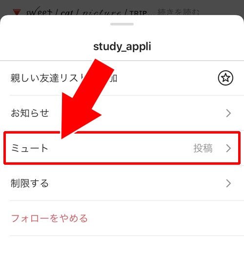 ミュート インスタ ストーリー