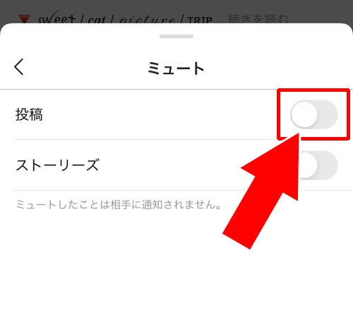 ミュート できない ストーリー 解除