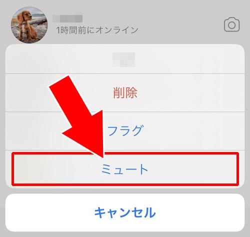 DMのスレッド一覧からミュートする・解除する|インスタのDMでミュート方法!メッセージをミュートしてもDMは届くし既読もつきます