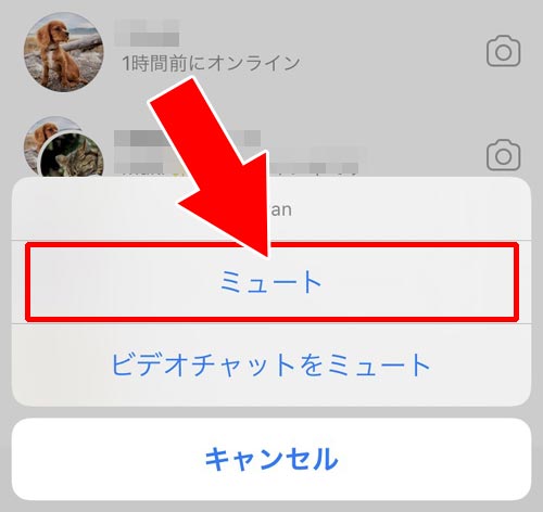 DMのスレッド一覧からミュートする・解除する|インスタのDMでミュート方法!メッセージをミュートしてもDMは届くし既読もつきます