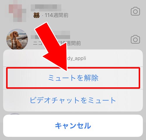 DMのスレッド一覧からミュートを解除する - DMのスレッド一覧からミュートする・解除する|インスタのDMでミュート方法!メッセージをミュートしてもDMは届くし既読もつきます