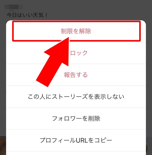 アカウント制限してメッセージを読む|インスタのDMで既読をつけないで読む方法!未読に戻す機能で既読は消えないので注意