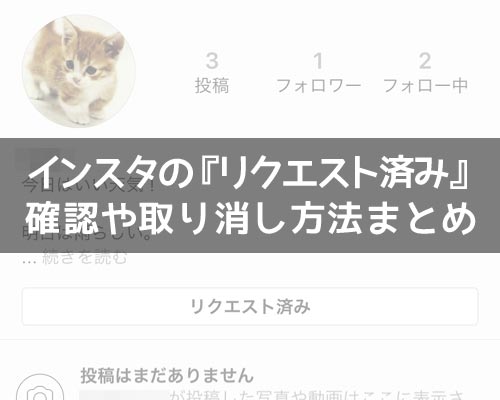 インスタで『リクエスト済み』の確認や取り消し方法!勝手に消える原因も解説します