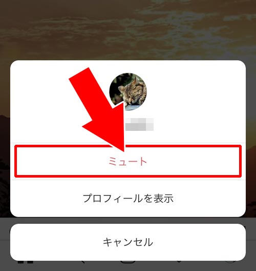 インスタ ストーリー足跡 順番