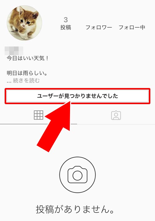 プロフィールの閲覧や投稿の表示は?|インスタでブロックした時とブロックされた時の仕組みまとめ