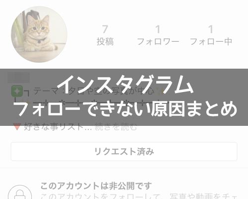 インスタでフォローできない原因まとめ!フォローやいいねのし過ぎに注意しよう