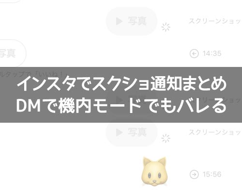 インスタでスクショしたら通知でバレる!DMで機内モードでも通知されるので注意です