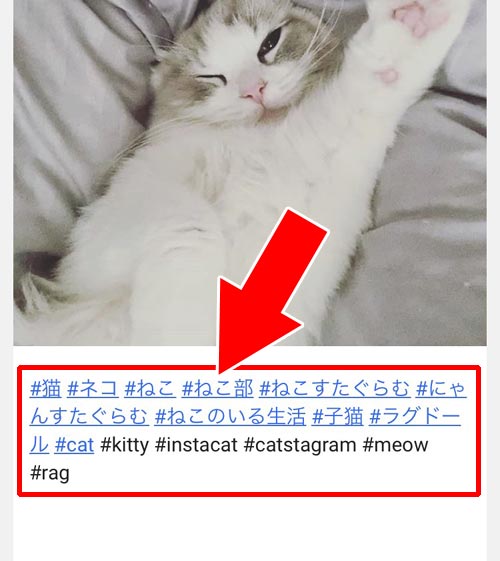 写真のキャプションから更に検索できる - 写真を検索する(ハッシュタグ検索)|インスタにログインしないで検索できるGramhoの使い方!ストーリーを見ることもできます