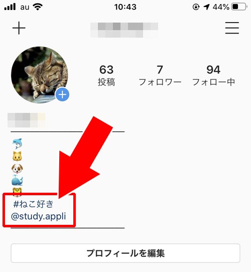 自己紹介を変更する|インスタでプロフィールの使い方!編集方法や可愛く変更するコツなどまとめ