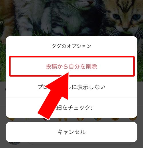 タグ付けから自分を削除する|インスタでタグ付けされた時の対処方法!勝手なタグ付けは削除や非表示で対応しよう
