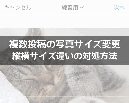 インスタで複数投稿の写真サイズ変更方法!縦横サイズ違いの写真はツールで変更しよう