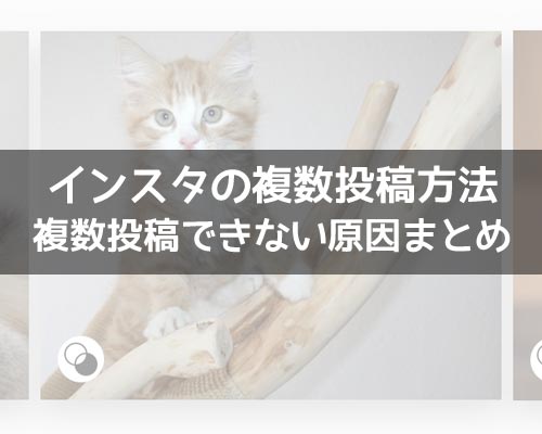 インスタの複数投稿方法!複数投稿できない原因もまとめました