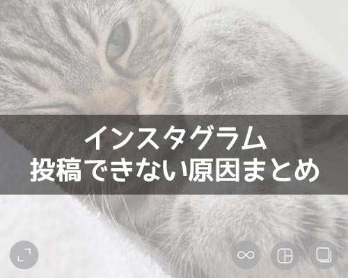 インスタで投稿できない原因まとめ!web版やPC版で動画は投稿できないので注意です