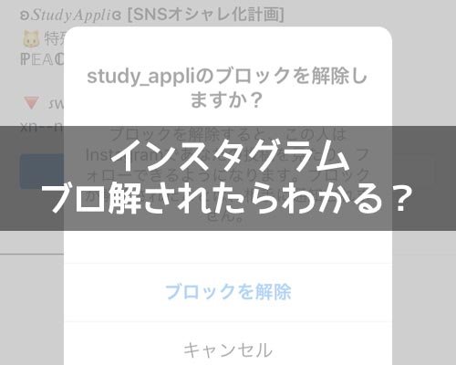 インスタでブロ解されたらわかる?DMや通知など仕組みを解説します