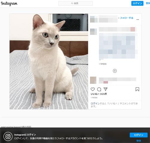 ハッシュタグ検索をして写真を見る - インスタのweb版やPC版から見るだけの方法|インスタグラムを見るだけの方法!登録もログインも不要で検索もできます