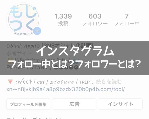 インスタのフォロー中・フォロワーとは?数字や文字がグレーで見れない原因も解説