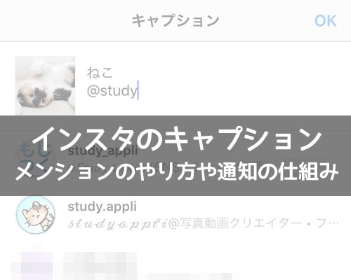 インスタのキャプションでメンションする方法!メンション通知の仕組みも解説します