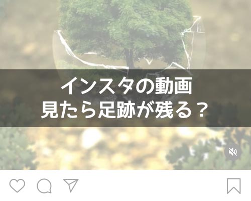 インスタの動画を見たら足跡が残る?通常投稿の動画でもバレる事があるので注意です