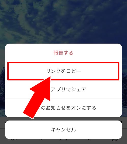 他人が投稿した動画の再生回数を見る方法|インスタの動画で再生回数の見方!通常投稿とリールで見方が違うので注意です
