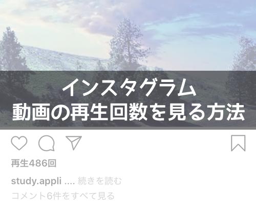 インスタの動画で再生回数の見方!通常投稿とリールで見方が違うので注意です